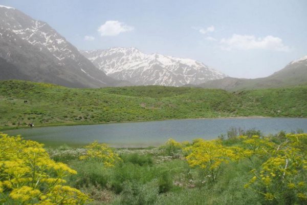 دریاچه گل پل شاهی (قائمشهر)