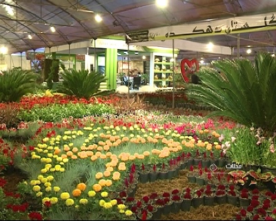 نمایشگاه گل محلات