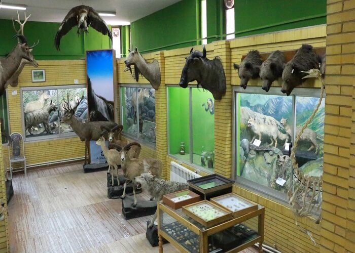 موزه تاریخ طبیعی تبریز