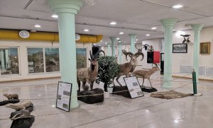 موزه تاریخ طبیعی اردبیل | تصاویر