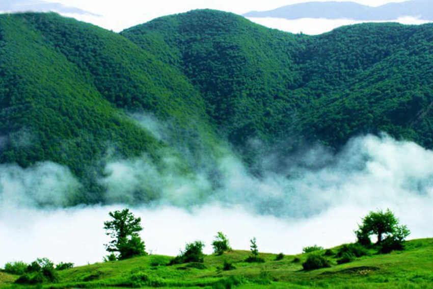 منظره ای سر سبز با چشم اندازه از کوهستانی پوشیده از درختان سبز و مه آلود